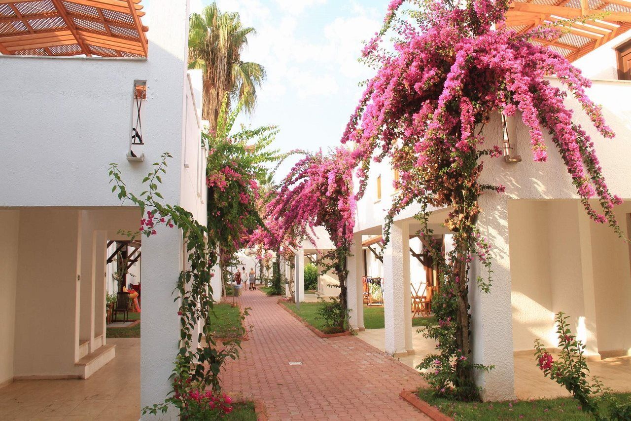 Club Kastalia Holiday Village Konaklı Екстериор снимка
